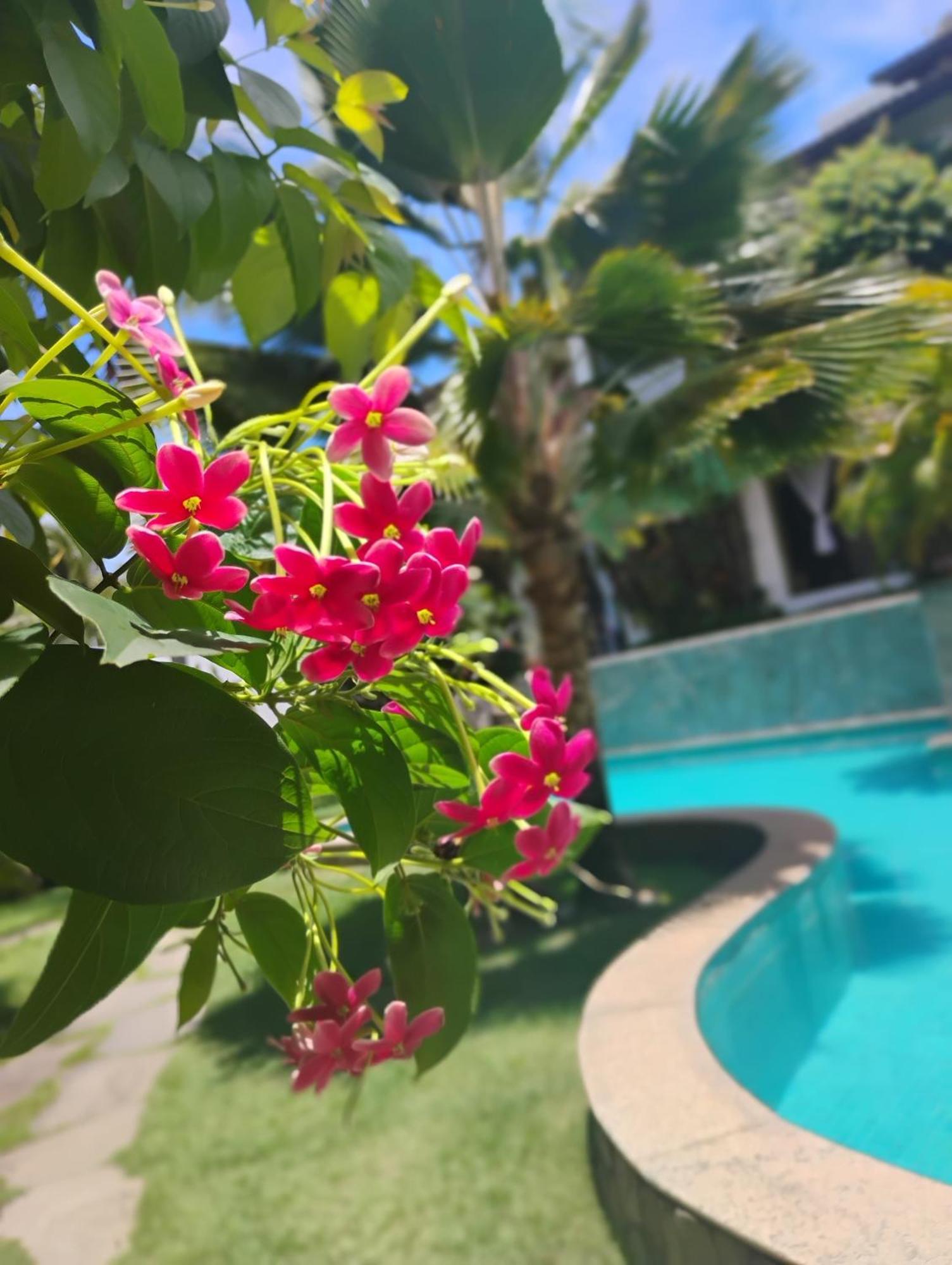 Flor Da Mata Aparthotel Praia de Pipa Exterior photo